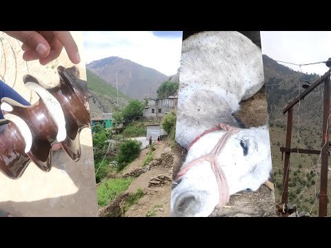 ‘Mule Died due to Electric Shock after 33KV line falls on cattle-shed’ claims it’s owner in Thathri