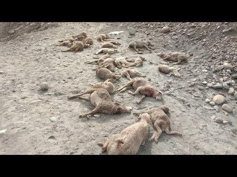 JK Top 10 News Roundup (Headlines) on 28-05-2020 | The Chenab Times