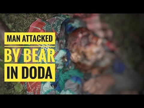 Doda: Man injured after attacked by wild bear