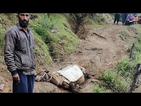 JK Top 10 News Roundup (Headlines) on 31-05-2020 | The Chenab Times