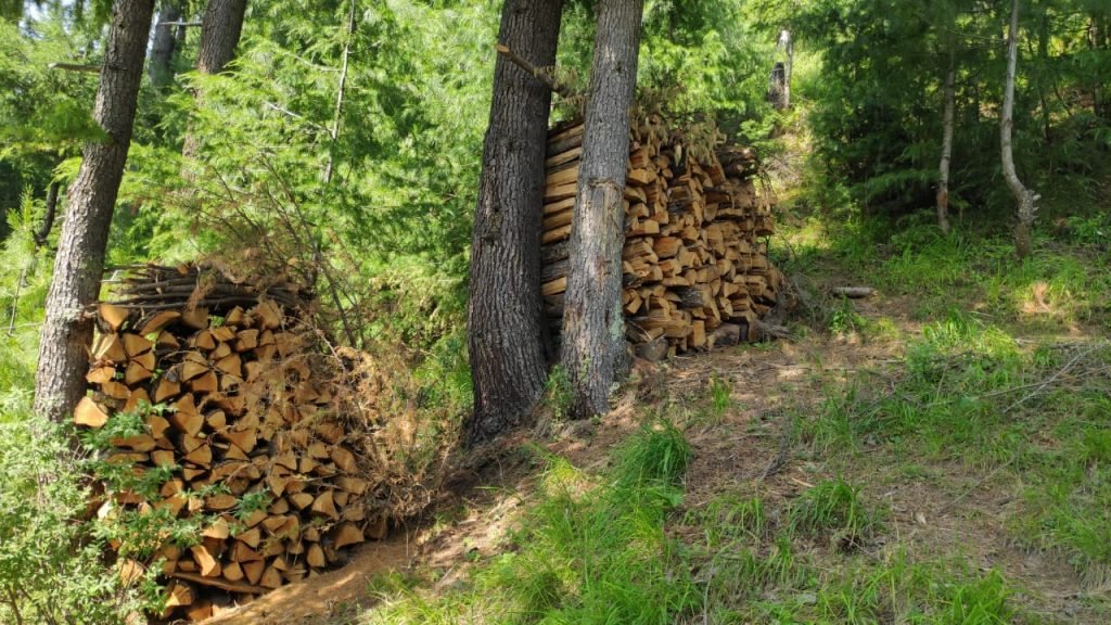 Number of wooden log in pieces in the forests