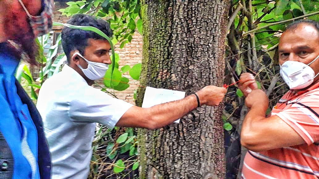 Virikshabandhan – a pledge to save trees by tying Rakhis