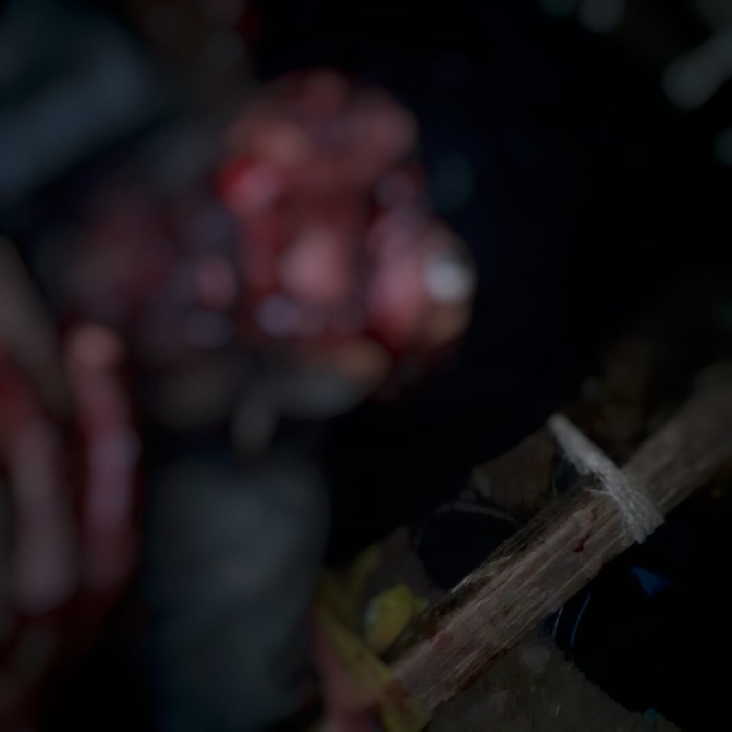 Man critically injured in bear attack in Doda, referred to GMC Jammu