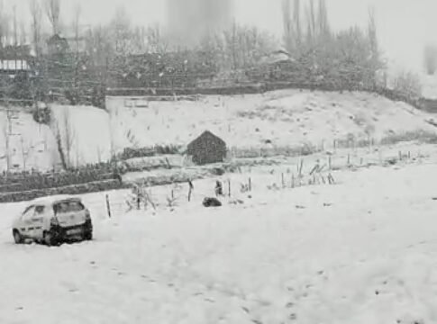 Fresh snowfall in higher reaches of Kashmir, rains lash plains