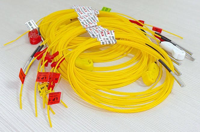 970 electric detonators recovered at Ukhral Ramsoo: Police