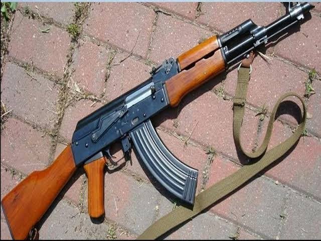 Man in police custody in Tral snatches gun from cop, shot at him: Police