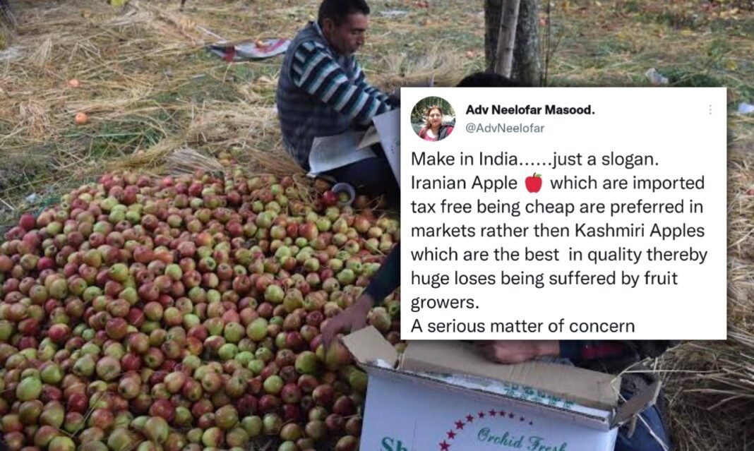 Adv Neelofar supports K-fruit traders’ protest, says Kashmiri Apple growers suffering huge loss