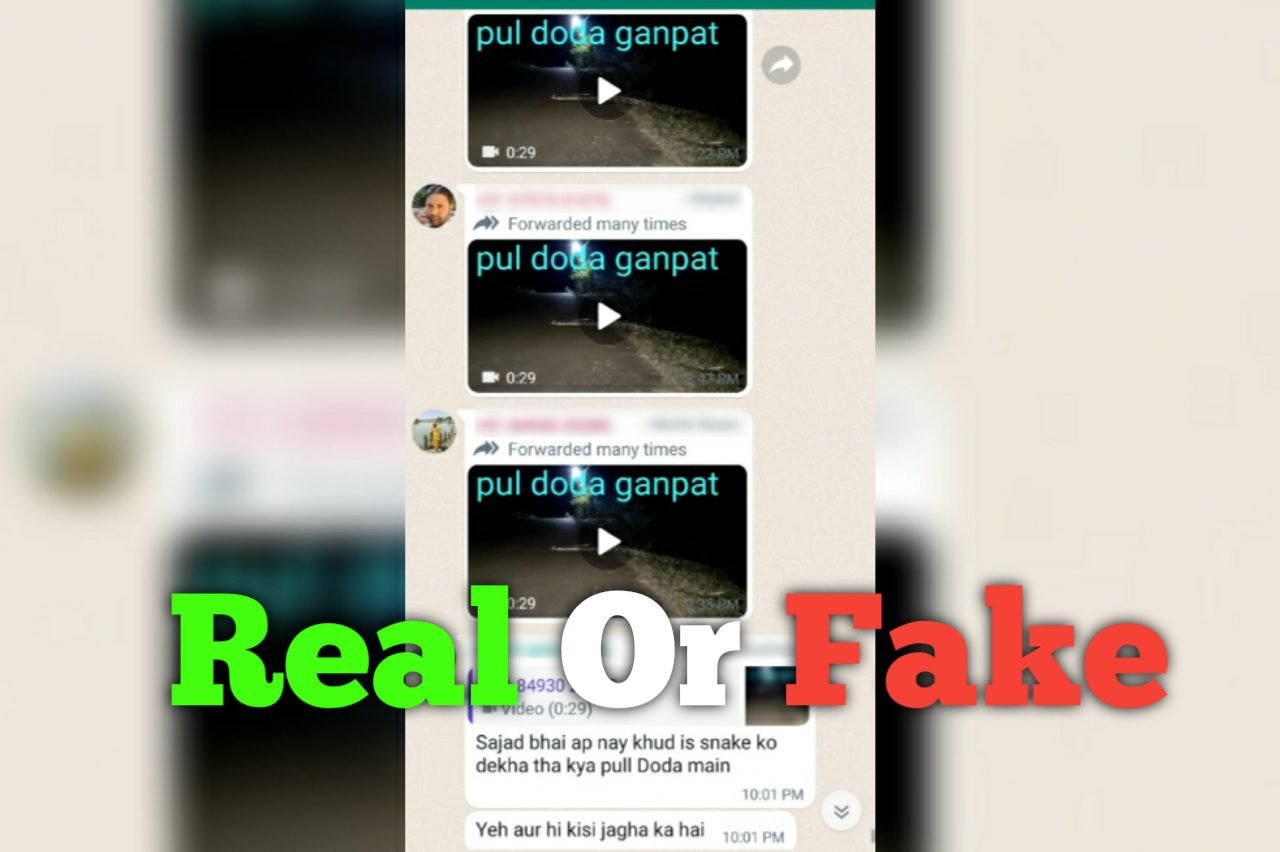 Fact-check: Viral Video of Giant Snake in Pul Doda? Here is the truth