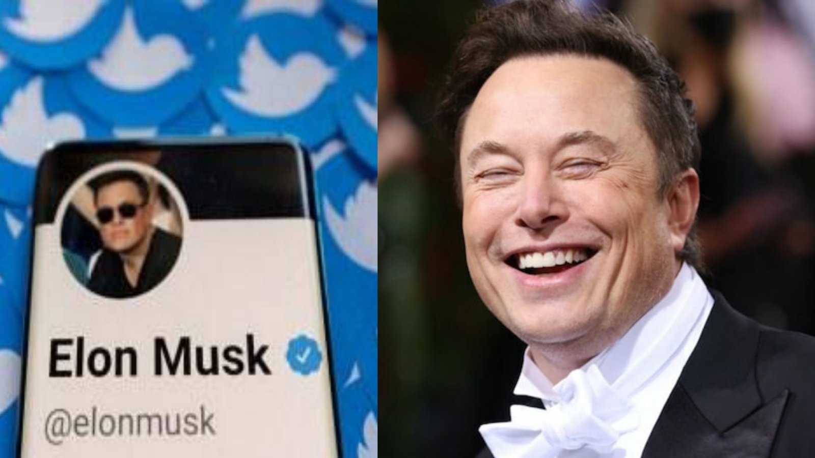 As Musk Cancels $44 Billion Twitter Deal, How Much People Get If He Donates Whole Amount?