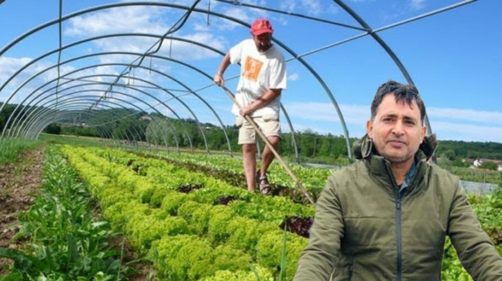 Why Organic Farming is Healthy Farming?