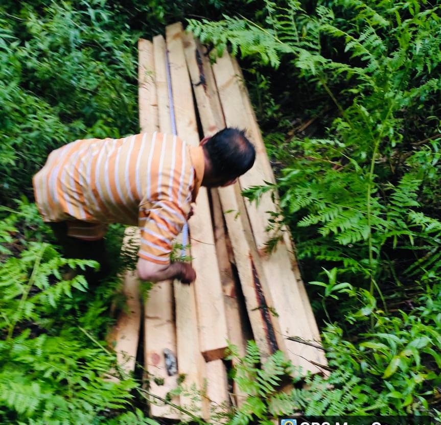 Police Seize Massive Haul of Illicit Timber in Forest Area of Marmat Doda