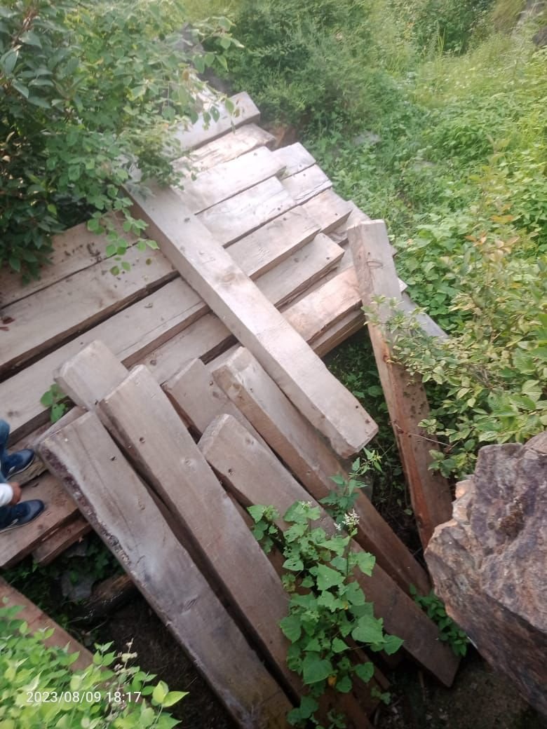 Doda Police Crack Down on Timber Smuggling, Arrest Two Culprits in Bhowan Forest Seizure