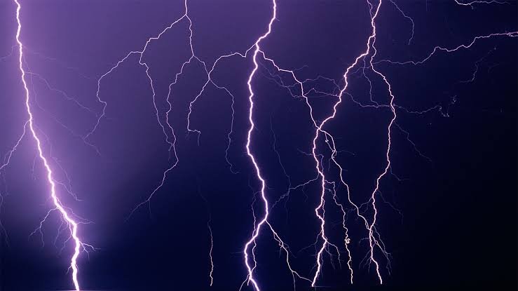 Lightning Strike Claims Lives of Over 40 Goats, Sheep in Banihal Highlands