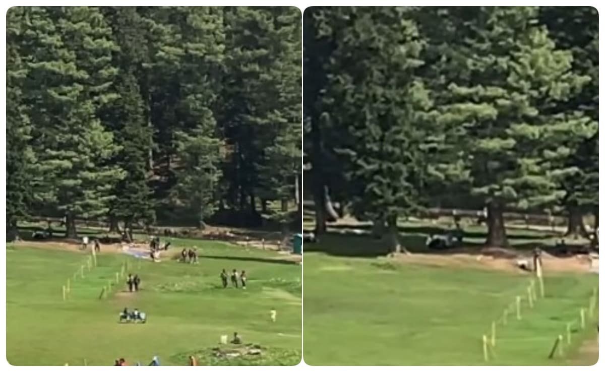 TRF Makes U-Turn on Pahalgam Massacre, Alleges Cyber Intrusion