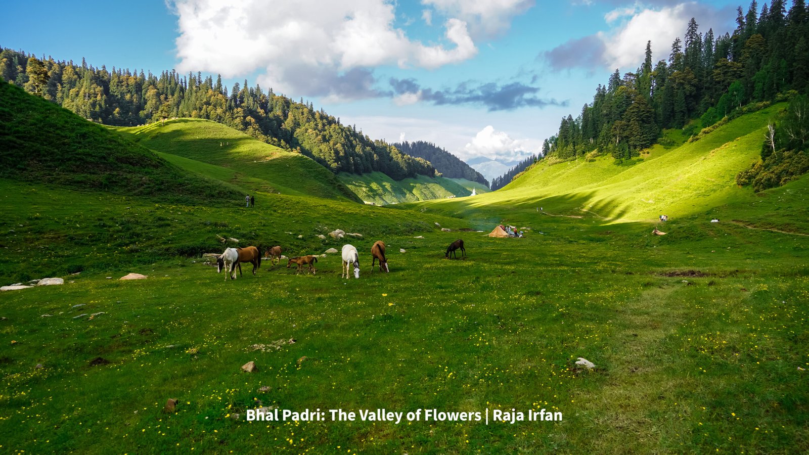 Chenabi: A Culture Worth Remembering