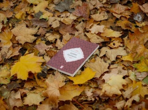 A book lies amidst colorful autumn leaves, capturing the essence of fall.