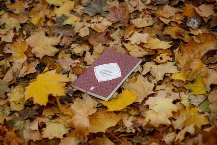 A book lies amidst colorful autumn leaves, capturing the essence of fall. A book lies amidst colorful autumn leaves, capturing the essence of fall.