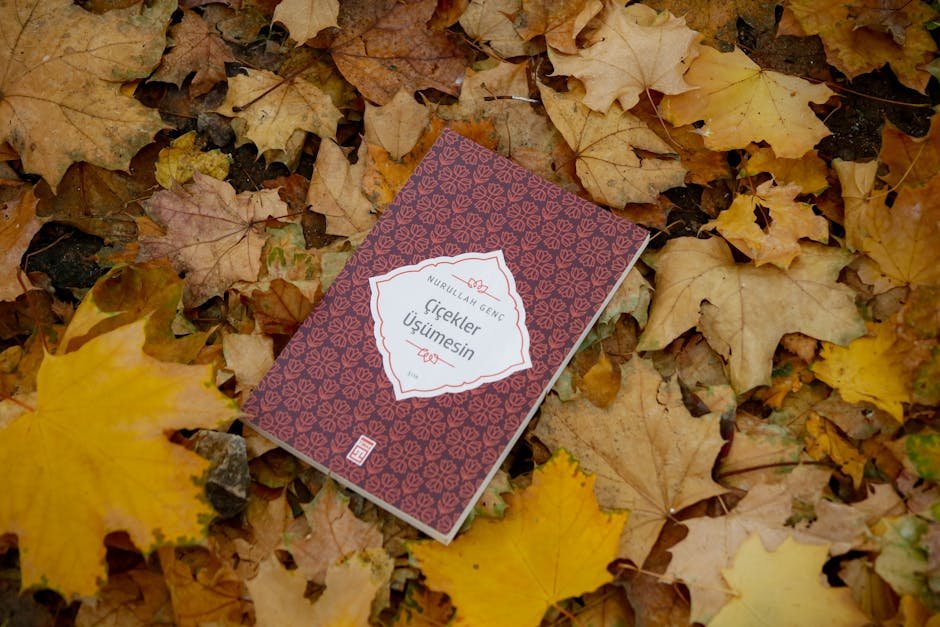 Jammu and Kashmir: Srinagar Streets See Revival of Traditional Tonga A book lies on colorful autumn leaves, showcasing tranquility and fall beauty.
