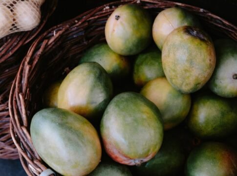 A close-up view of fresh mangoes in a rustic woven basket, highlighting their natural appeal.