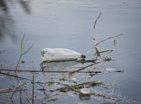 A discarded plastic bottle floating in a polluted water body, highlighting environmental issues.