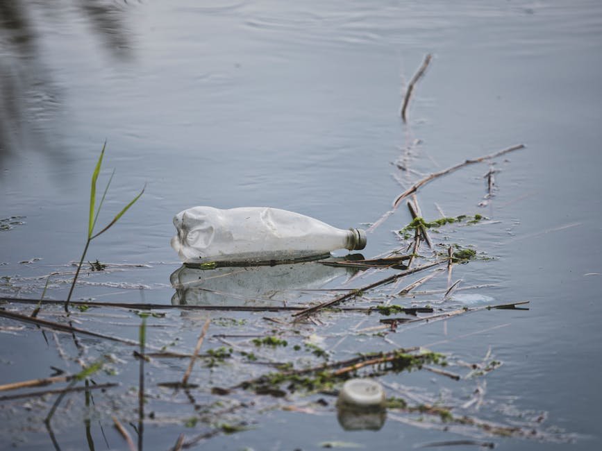 A discarded plastic bottle floating in a polluted water body, highlighting environmental issues.