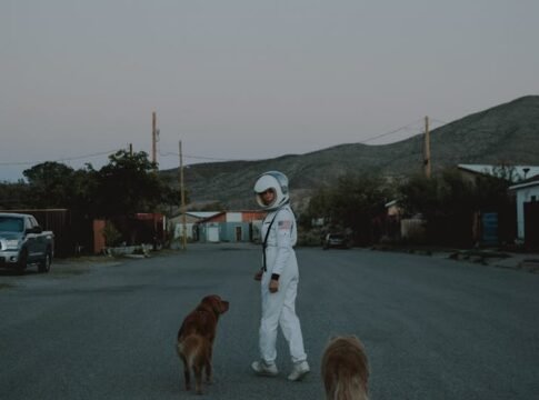 A person in an astronaut costume walks two dogs on a rural road at dusk.