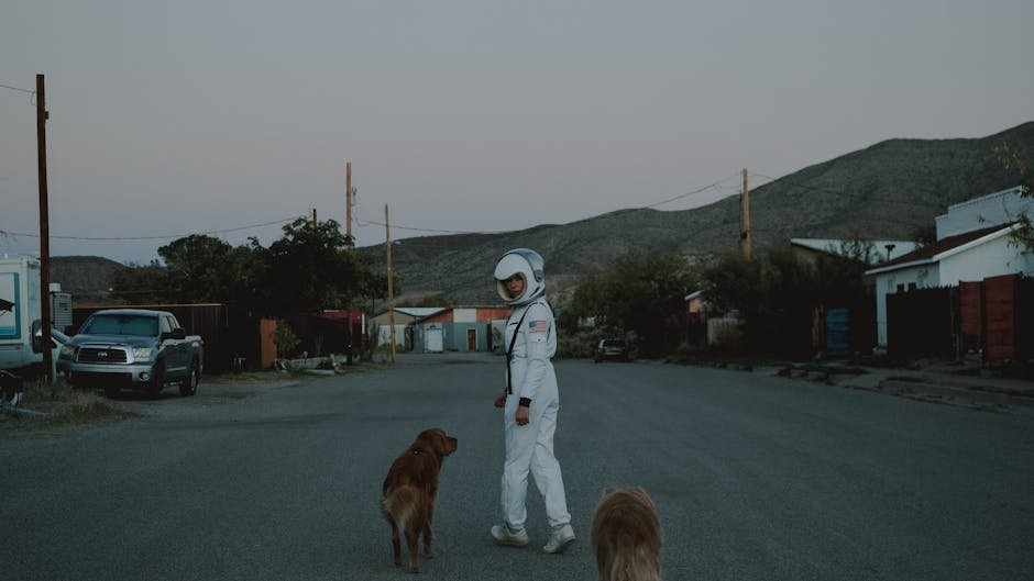 Astronaut Christina Koch’s Dog Sadie’s Joyful Reunion Goes Viral Post-Moon Mission A person in an astronaut costume walks two dogs on a rural road at dusk.