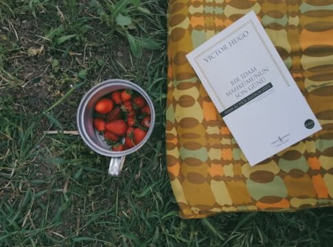 A relaxed picnic setting featuring a book and strawberries in a cup on grassy ground. A relaxed picnic setting featuring a book and strawberries in a cup on grassy ground.