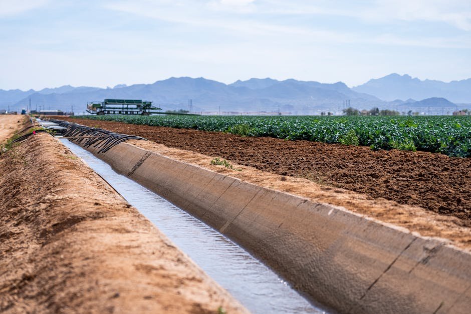 Jammu and Kashmir: Pulwama Farmers Await Irrigation Siphon Reconstruction Decade After 2014 Floods A scenic view of an irrigation canal running through farmland with mountains in the background.
