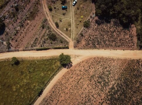 Aerial photo of intersecting dirt roads and fields in Tubarão, Brazil, showcasing the rural landscape.