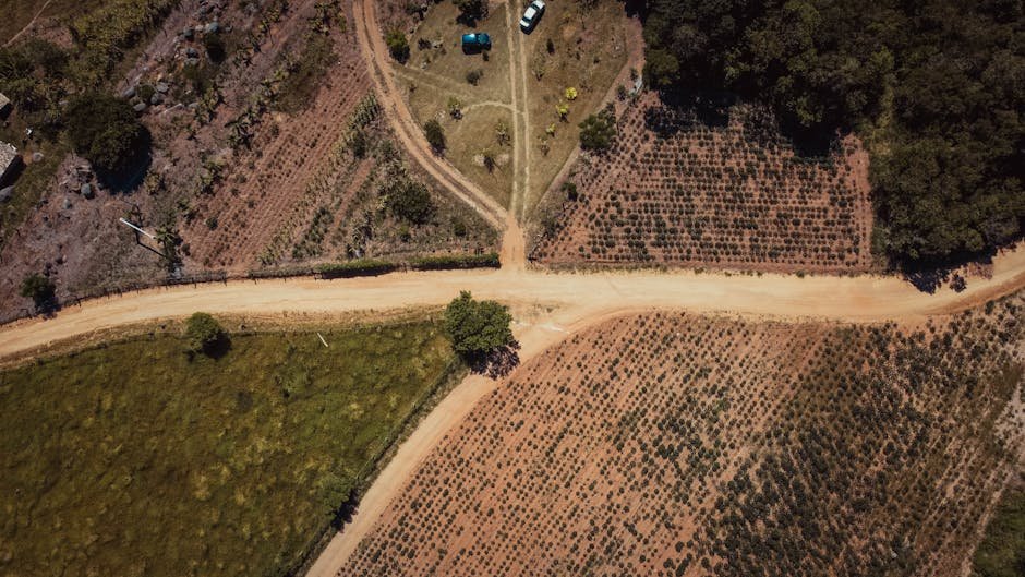 Aerial photo of intersecting dirt roads and fields in Tubarão, Brazil, showcasing the rural landscape.