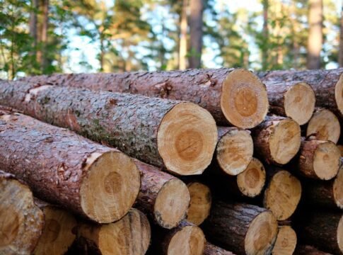 Agro-forestry wood units in Jammu and Kashmir