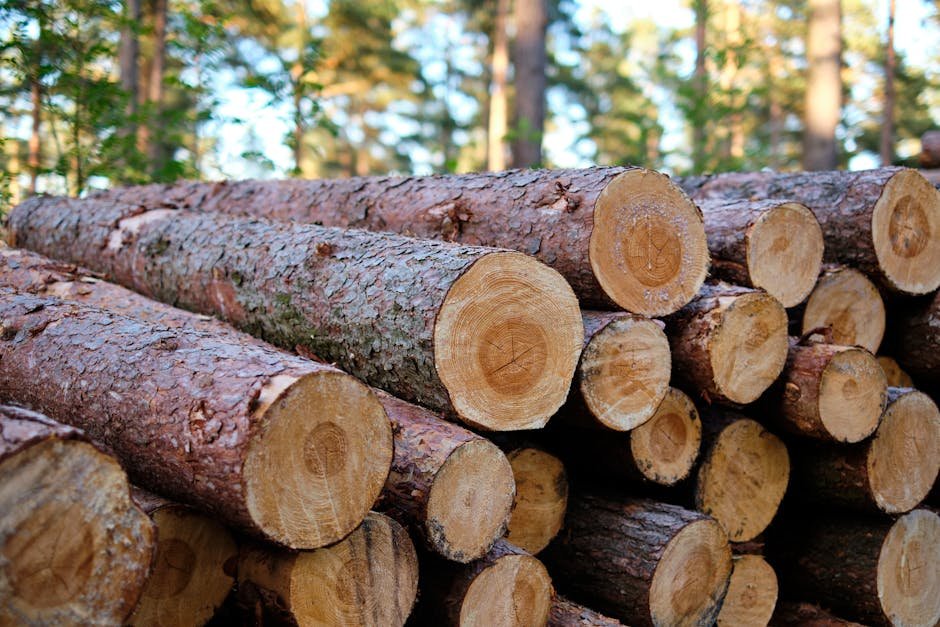 Agro-forestry wood units in Jammu and Kashmir Agro-forestry wood units in Jammu and Kashmir