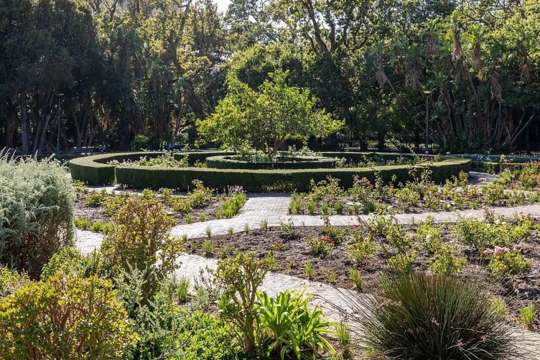 Cape Town’s Gardens Reflect Shifting Botanical Landscape Company’s Garden in Cape Town, Western Cape, South Africa