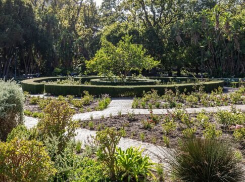 Company’s Garden in Cape Town, Western Cape, South Africa