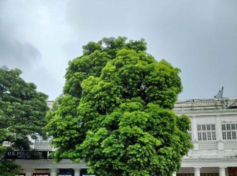 Connaught Place, located near the Rajiv Chowk, is one of the most iconic landmarks of Delhi. It was built during the British Raj and is designed in a circular layout with concentric roads. It serves …