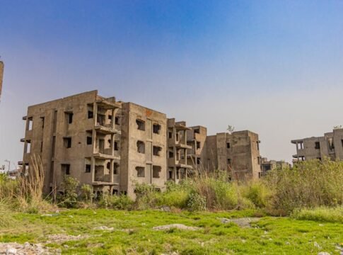 Dilapidated buildings in Delhi surrounded by greenery under a clear sky.