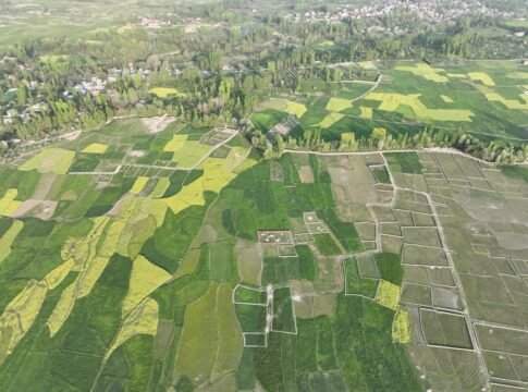 Drone captures lush green farmland near Srinagar in spring, showcasing vibrant agricultural patterns.