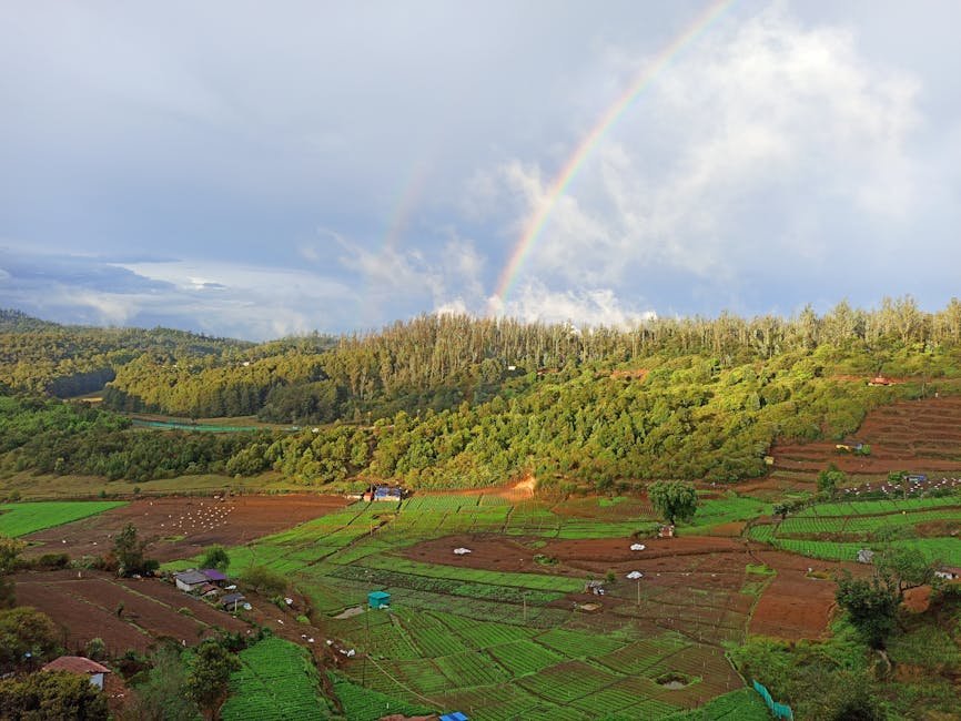 Vibrant rainbow arching over green rice terraces in Pykara, India amidst lush nature and serene countryside.