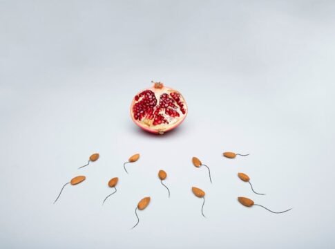 A conceptual image of almond shapes resembling sperm surrounding a pomegranate on a white surface.