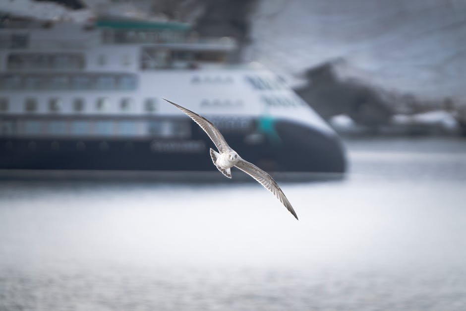 Hantavirus Evacuations Begin as Infected Ship Arrives in Canary Islands A seagull gracefully flying over a harbor with a cruise ship in the background, showcasing marine life and travel.