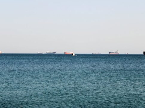 A tranquil ocean view featuring several cargo ships on the horizon under a clear sky.