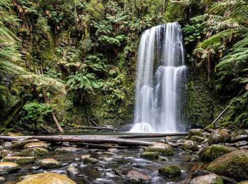 Beauchamp Falls in Great Otway National Park, Beech Forest, Victoria, AustraliaEfforts to protect Great Otway National Park began in the early 1900s, when the first areas of lush rainforest and coast… Beauchamp Falls in Great Otway National Park, Beech Forest, Victoria, AustraliaEfforts to protect Great Otway National Park began in the early 1900s, when the first areas of lush rainforest and coast…