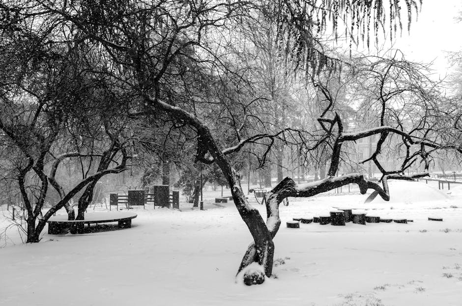 Pune Outlet Churns Fresh ‘New Zealand Style’ Fruit Ice Cream On-Demand Black and white winter scene of snow-covered park with barren trees in Lviv, Ukraine.