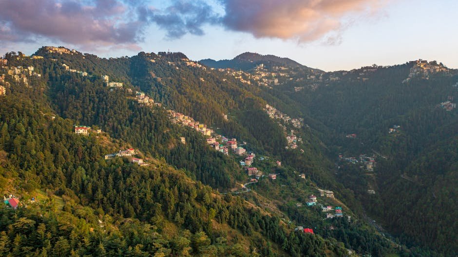 Shimla Gears Up for 5-Day International Summer Festival Featuring Cultural Extravaganza and Novel Joyride Breathtaking view of Shimla's lush green mountains with scattered houses during sunrise.