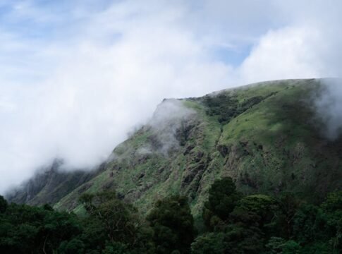 Breathtaking view of misty mountains and lush greenery in Ooty, India.