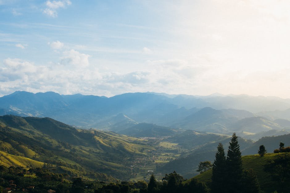 Jammu and Kashmir: Pleasant Weather Expected, Heatwave Ruled Out Captivating view of a sunlit valley surrounded by foggy mountains and greenery.