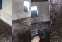 Littered with Dung: Government High School Joura Khurd in Doda Faces Neglect Allegations