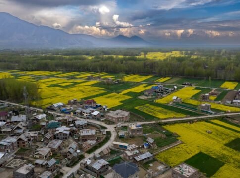 Scenic aerial shot of vibrant yellow rapeseed fields and village in Samboora with mountains in the background. Scenic aerial shot of vibrant yellow rapeseed fields and village in Samboora with mountains in the background.