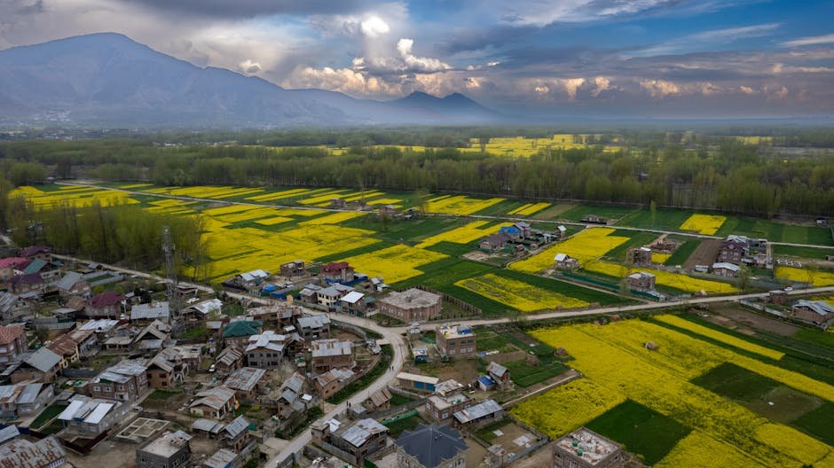 Jammu and Kashmir Rural Entrepreneurship Boosted by Rs 36 Crore SVEP Plan Scenic aerial shot of vibrant yellow rapeseed fields and village in Samboora with mountains in the background.